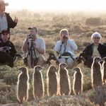 Zuid Afrika Oudtshoorn De Zeekoe Activiteit Five Shy Meerkats WE (2).jpg - Jambo Safari Club